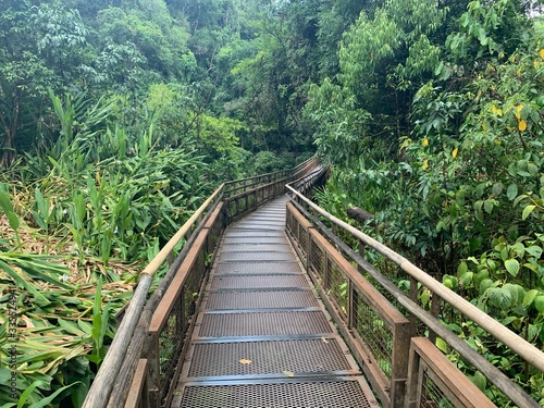 Pont aux Chutes d'Iguazu