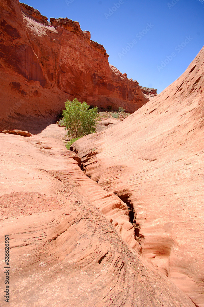 Beautiful sunny day in a canyon in the North wash canyon country of Southern Utah.