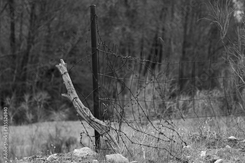 Obraz na płótnie Old wooden and barbwire fence in black and white w salonie