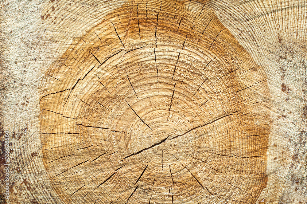Naklejka premium Background of split wood