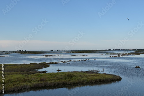 Landscape of the vegetation of the lagoon