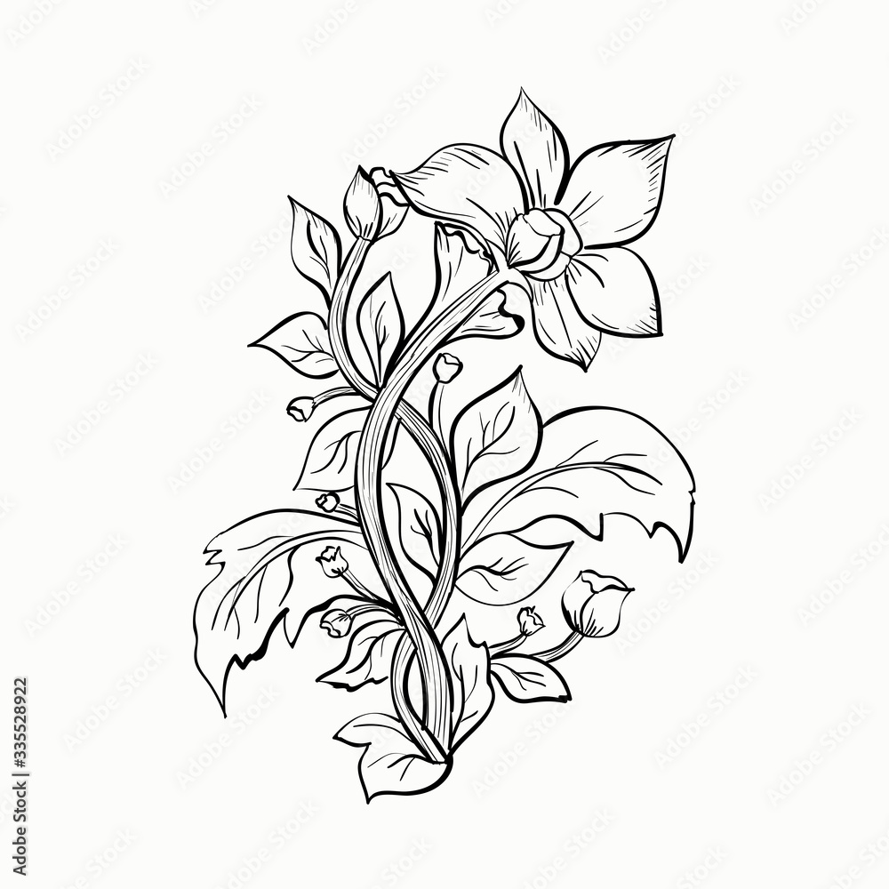 Hand-drawn flower isolated on white background. Vector black and white illustration. Element for design.