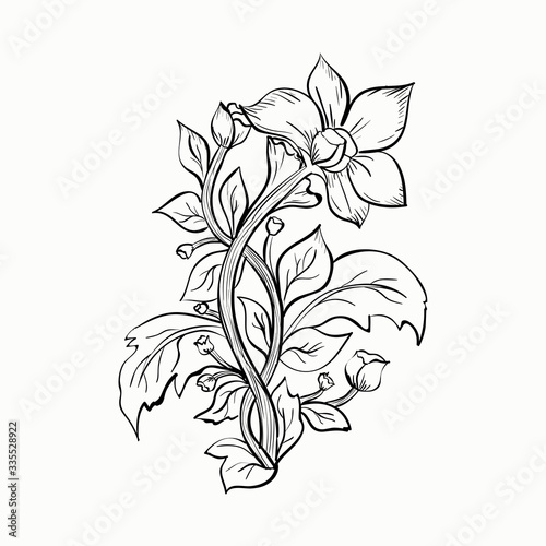 Hand-drawn flower isolated on white background. Vector black and white illustration. Element for design.