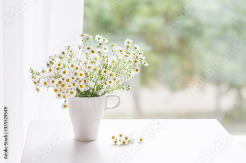 Fototapeta Naklejka Na Ścianę i Meble -  Bouquet of gentle camomile in white cup. Morning light in the room. Soft home decor,  vase with white flowers on  white wall background and on wooden table. Interior. Greeting card. Copy space.