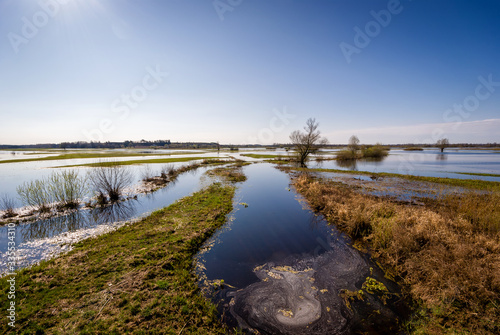 Wiosenne rozlewiska Narwi i Biebrzy. Podlasie. Polska