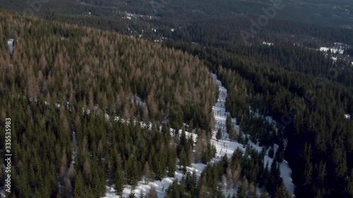 Cross-country skiing photo