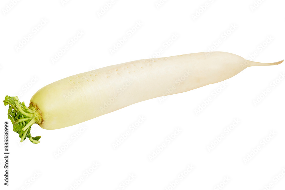 close up of long white radish or daikon radish vegetable isolated on white background with clipping path. close up of long white radish or daikon radish vegetable isolated on white background with clipping path.