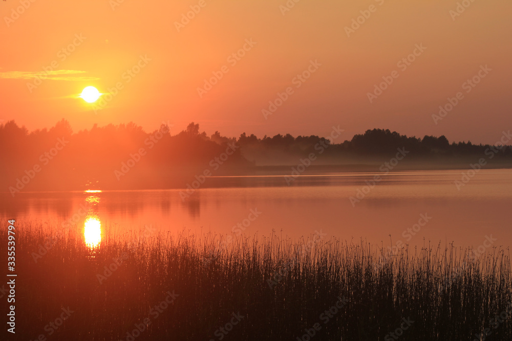 sunset on a forest lake, golden hour, natural background, landscape