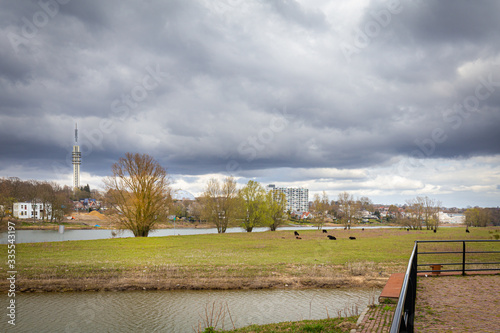 Skyline Arnhem view from Floodplain nature park Meinerswijk on southbank of river Rhine in Gelderland, Netherlands photo