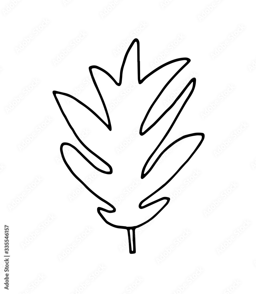 hand drawn leaf vector illustration. Big tropical leave. hand drawn leaf vector illustration. Big tropical leave.