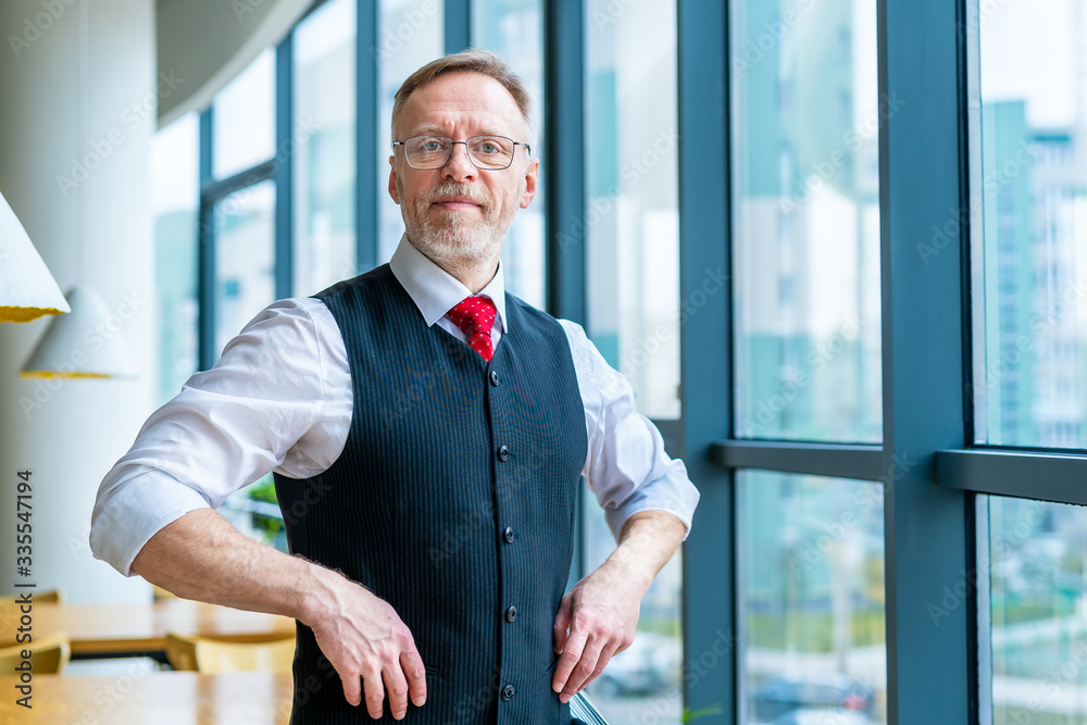 Thoughtful middle aged businessman in suit. Standing near the window. Business concept.