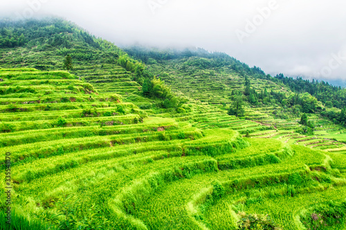 Yunhe china cloud rice terraces landscape