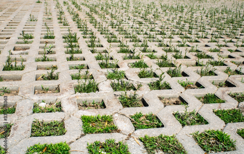 texture of sidewalk in squares overgrown with green grass
texture of sidewalk in squares overgrown with green grass