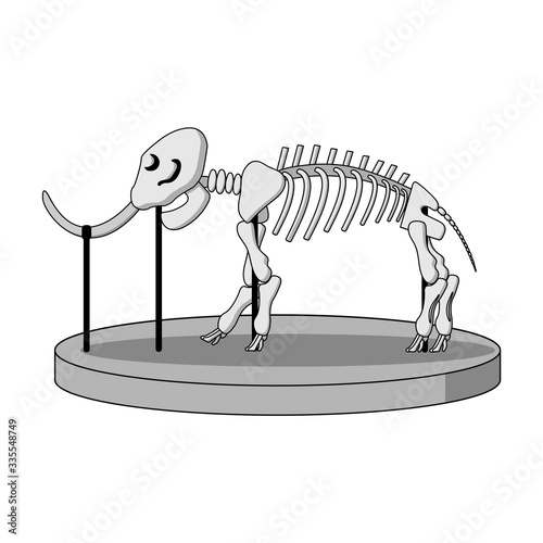 cartoon skeleton of mammoth on paleontology in museum of prehistory. white background isolated vector illustration