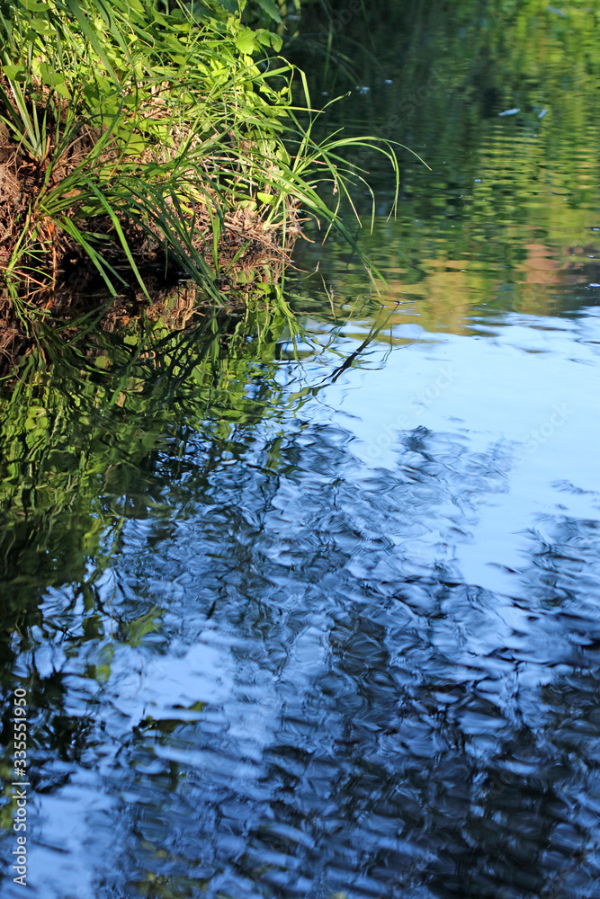 river in the forest