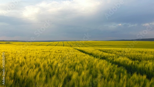 green field daylight agricultural industry landscape organic growth harvest plant field farming nature grain sky environment spring grass farm summer rural close up