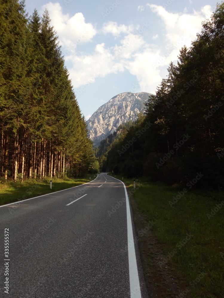 scenic road,mountain, landscape, mountains, travel, nature, asphalt, summer, forest, hill, europe,austria,clouds, alps, street, way, green, countryside, driving, scenery, tree, cloud