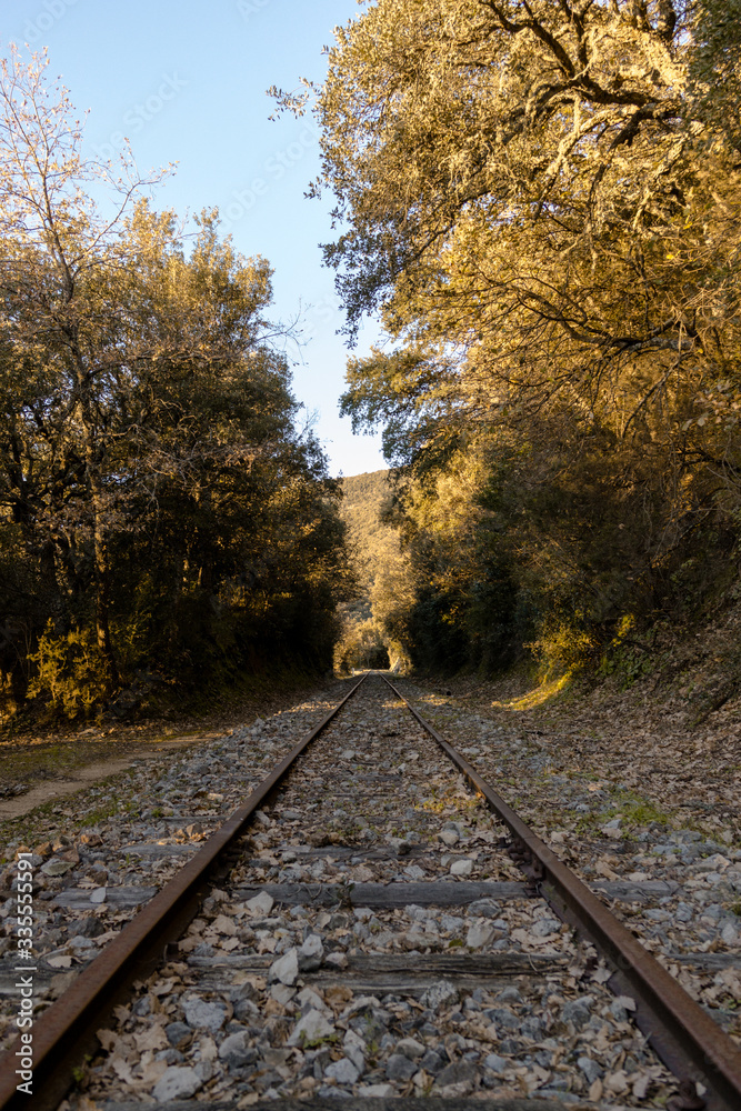 Fototapeta premium Abandoned railroad