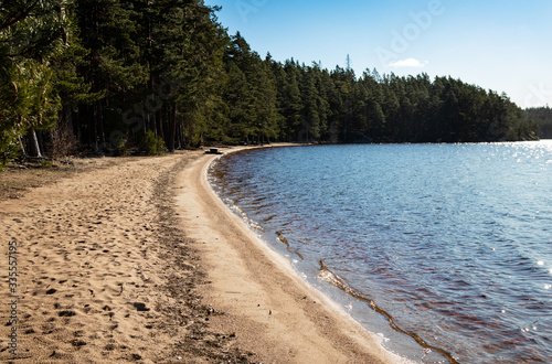 Fototapeta Naklejka Na Ścianę i Meble -  Tiveden Nationalpark Sweden. Vitsand trehorningen lake. Sandy shore on a sunny spring day._