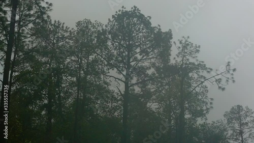 Hurricane Matthew passes over Florida