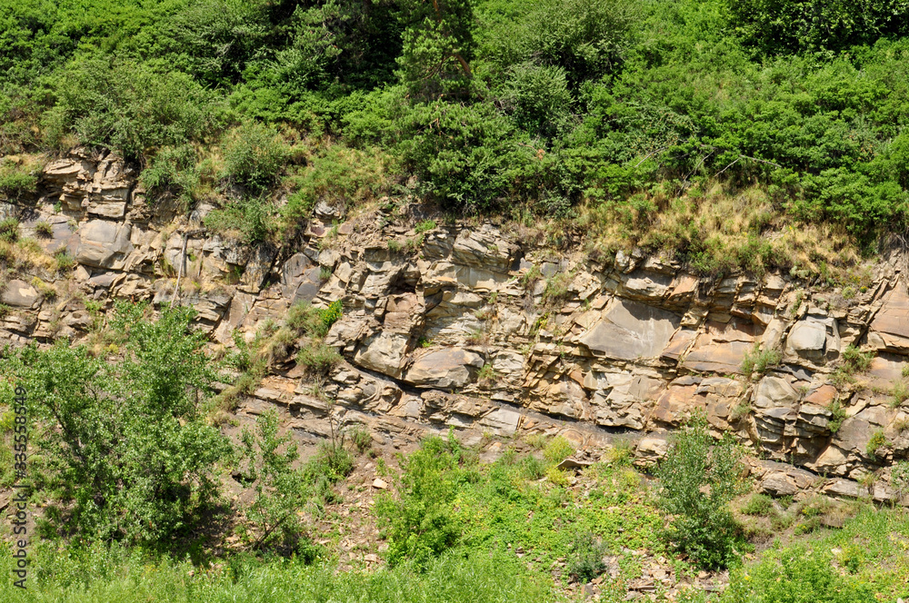 Obraz premium green grass on the rock