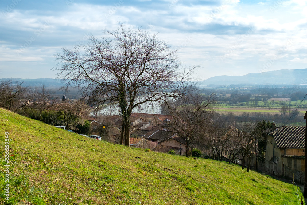 rural landscape with trees. France rural landscape with trees. France