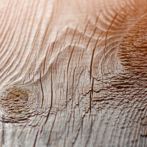 wooden coating in macro shot. tree close up.
