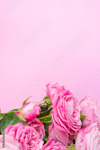 Wallpaper Mural Bushy pink roses on a delicate pink background. Torontodigital.ca