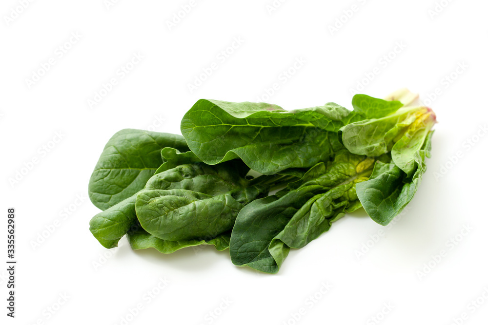 Fresh spinach leaves on a white background Fresh spinach leaves on a white background