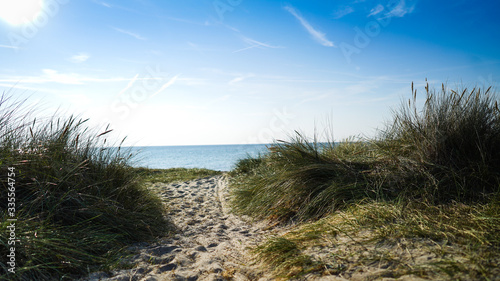 dune on a sunny day with the ocean in the background © Lena
