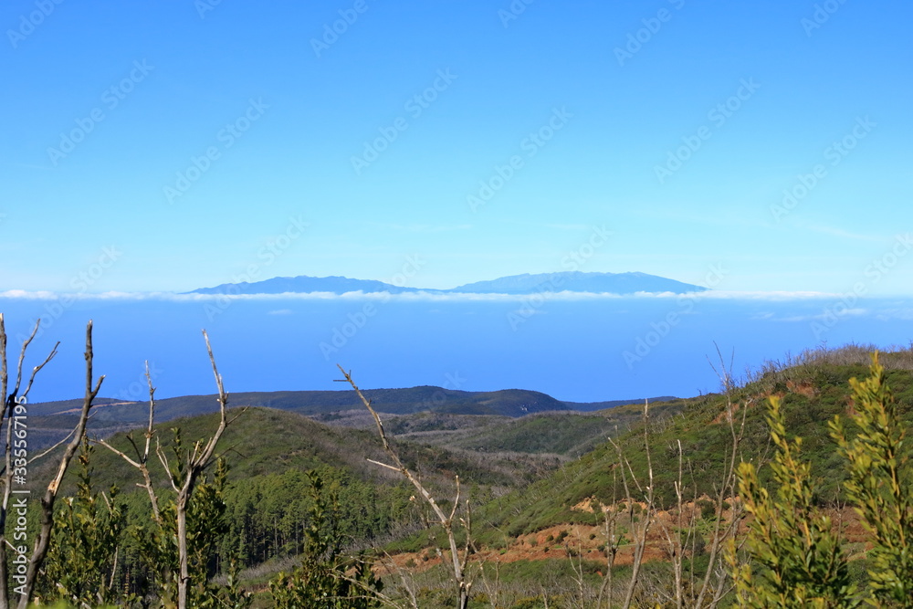View from the summit of Garajonay on charred shrubs and trees, traces of the forest fire of 2012, on the horizon the island of La Palma, La Gomera, Canary Islands, Spain