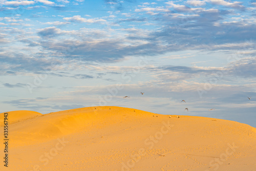Golden sand dune and cloudy sky for background concept
