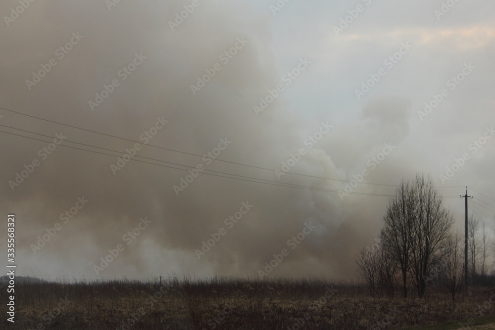 Big smoke on horizon on edge grass field, ecological disaster on spring day Big smoke on horizon on edge grass field, ecological disaster on spring day