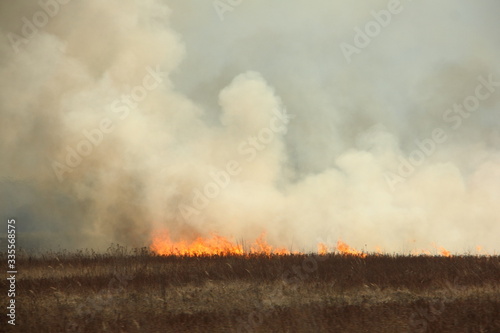 Big smoke cloud and fire glow on meadow, burning grass problem