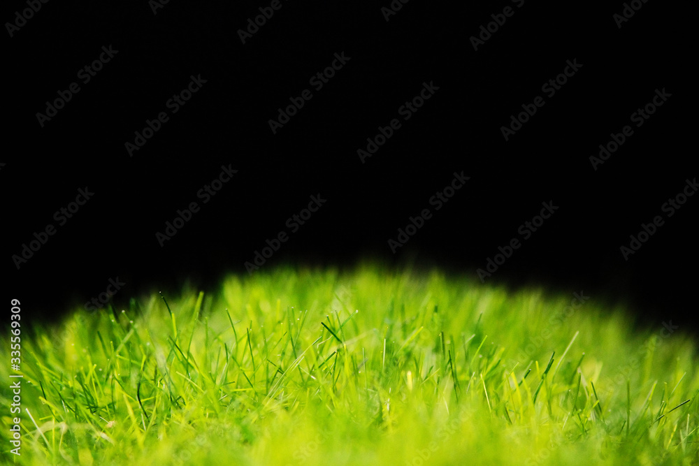 artificial bright green grass on a black background