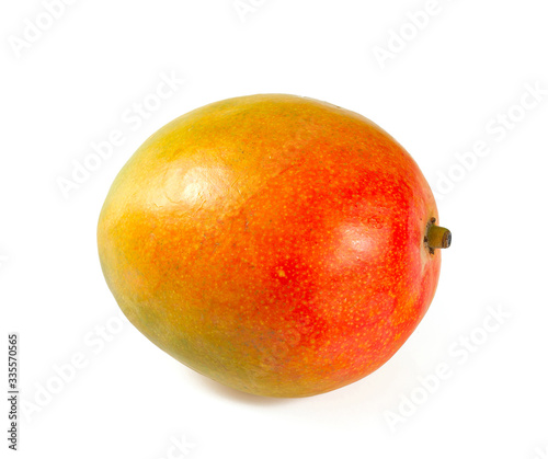 ripe mango fruit isolated