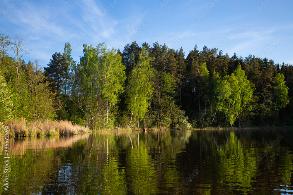 beautiful summer landscape on a lake