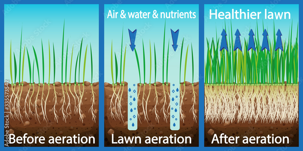 Aeration of the lawn. Enrichment with oxygen water and nutrients to ...