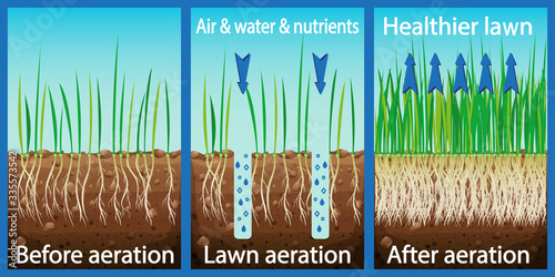 Aeration of the lawn. Enrichment with oxygen water and nutrients to improve lawn growth. Before and after aeration: gardening, lawn care services. Advantages, aeration photo