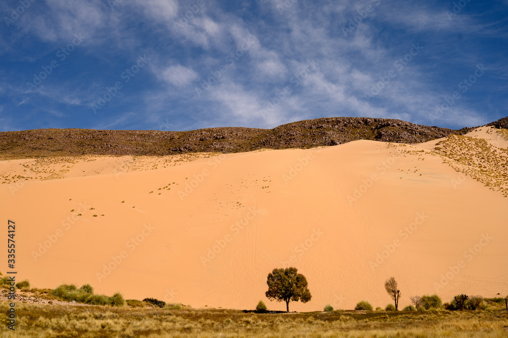Dunes de huancar sur l'altiplnao argentin