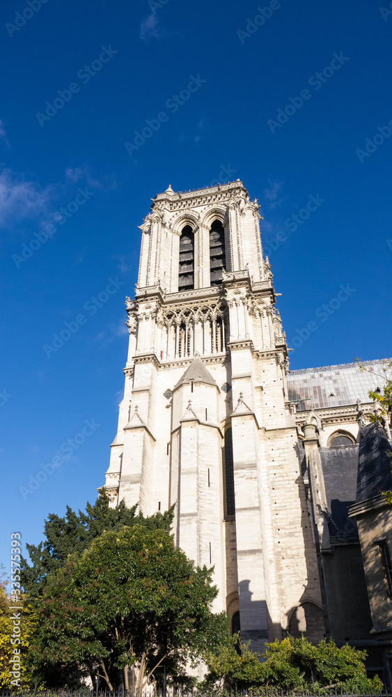 Tower Bell of Notre Dame Paris