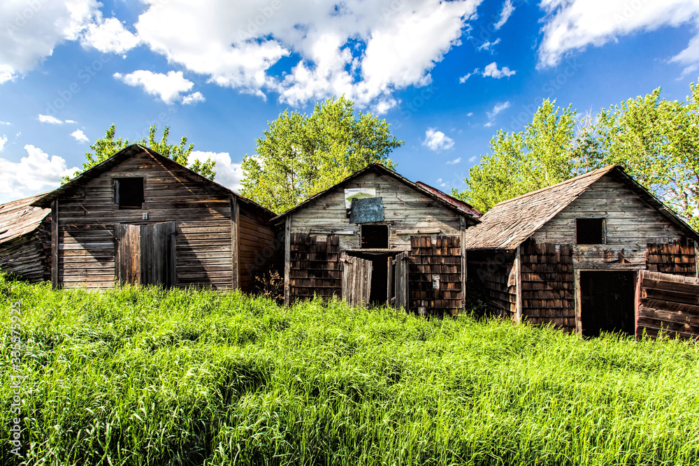 Wood Buildings Wood Buildings