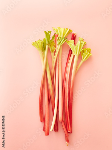Bunch of a rhubarb stalks