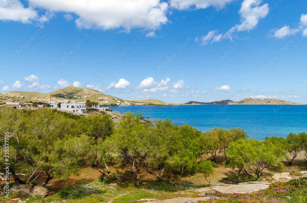 Coast of Paros island. Blue sea water and spring trees in Naoussa village. Cyclades