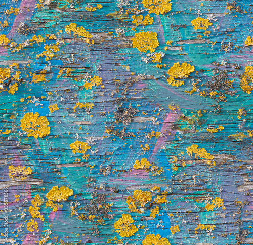 Seamless painted wood texture with fungus growing. Colorful multiple painted surfaces: blue, turquoise, rosa and purple. Yellow and white fungus or moss growing on the wood. Close up. © Petra Richli