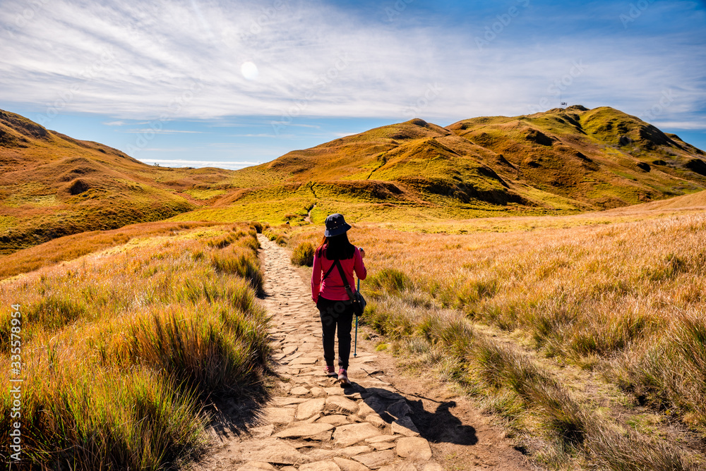 Adult female in red shirt hiking the scenic trail of Mount Pulag National Park, Benguet, Philippines