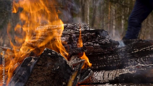 a fire is burning in the forest
