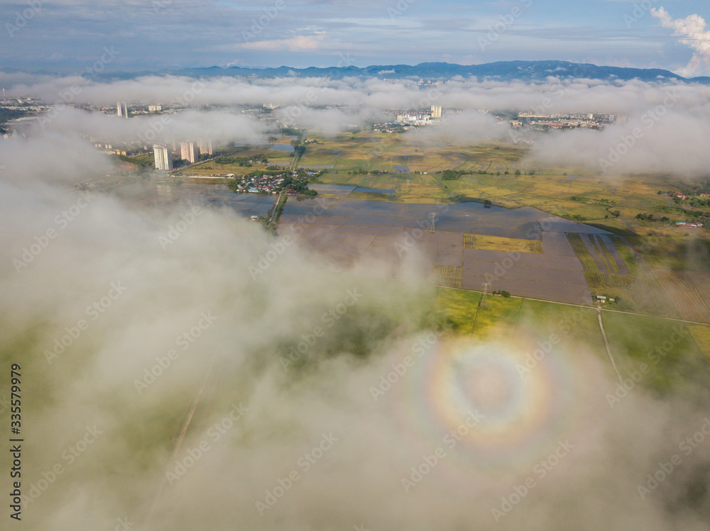 Rainbow halo appear at sea cloud over green paddy field.