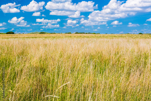 Natural Grasslands