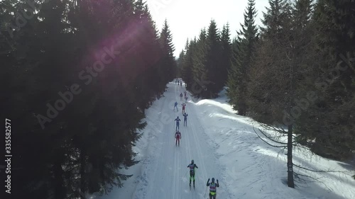 Cross-country skiing photo